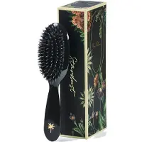 Fan Palm Stardust Small