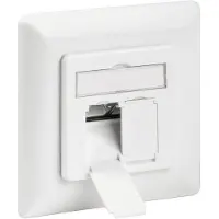 Pro CAT 6a wall plate flush mounting Valkoinen - 2x RJ45 - Valkoinen