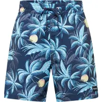 Hurley Surffishortsit