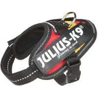 JULIUS K-9 Idc Power Baby Koiran Valjaat