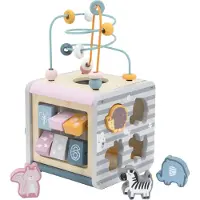 Viga Toys Lavinantis Medinis Žaislas VIGA Polar 5w1