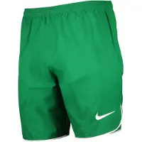 Nike Dri-fit Dh8408 Shortsit