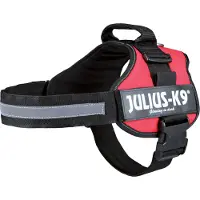 Julius-K9 Julius K-9 valjaat koirille, L, punainen