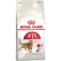 Royal Canin Fit 32 Adult 4kg Kissanruoka