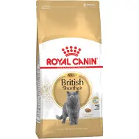 Royal Canin 4kg Adult British Shorthair kissan kuivaruoka