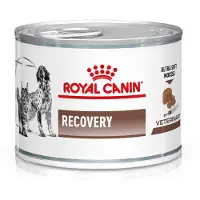 Royal Canin Dog&Cat Recovery wet, 12 x 195 g