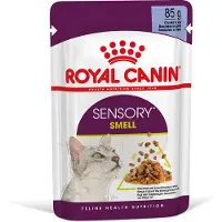 Royal Canin 24x85g Sensory Smell hyytelössä kissan märkäruoka
