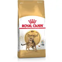 Royal Canin Bengal -kissan kuivaruoka aikuisille 10 kg