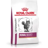Royal Canin 4kg Veterinary Feline Renal Select Kissanruoka