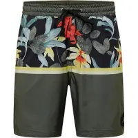 Quiksilver Division 17 Nb Uimashortsit