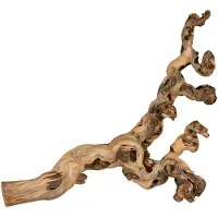 Trixie Viiniköynnös, hiekkapuhallettu 40 60 cm pieneläimille