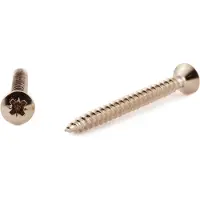 Arvid Nilsson TKFX A2 5,5x60 PZ3 LVI-ruuvi 100 kpl