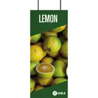 OKI FASTDISP A3 ceiling METAL 30x120CM (09006050)