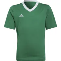 Adidas Treenipaita Entrada 22 - Vihreä/Valkoinen Lapset, koko 140 cm
