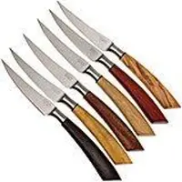 Saladini 6-pc steak knife set 23 cm, gift set