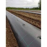 Hortex 50m2 1,25x40m mansikka-katekangas