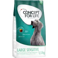 Concept for Life 4x1,5kg Large Sensitive koiran kuivaruoka