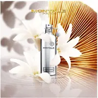Montale Fantastic Basilic Eau de Parfum unisex 100 ml