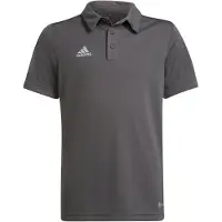 Adidas Entrada 22 Lyhythihainen Pikeepaita