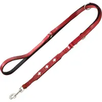 Hunter Swiss talutushihna & kaulapanta koko 55 200cm/18mm koiralle
