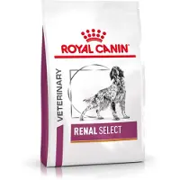 Royal Canin 2 x 10 kg Veterinary Diet Canine Renal Select koiran kuivaruoka