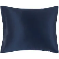 Lenoites Mulberry Silk Pillowcase, 50X65 - Navy - 50X 60CM