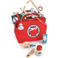 Tender Leaf Toys Doctor's Bag - Multi/patterned - ONE SIZE