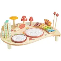 Tender Leaf Toys | Musiikkipöytä, 7 erilaista instrumenttia