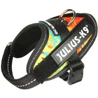 JULIUS K-9 Idc Power Baby Koiran Valjaat