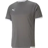 Puma Toiminnallinen paita 'TeamLiga' basaltinharmaa / valkoinen
