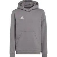 Adidas Entrada 22 Huppari