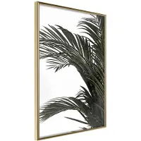 Artgeist Jungle Scent juliste