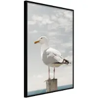 Artgeist Curious Seagull juliste