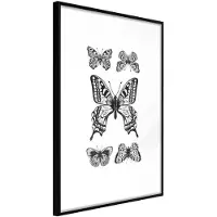 Artgeist Butterfly Collection Iv juliste