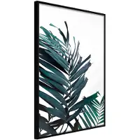Artgeist Evergreen Palm Leaves juliste