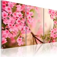 Artgeist Cherry Flower taulusetti