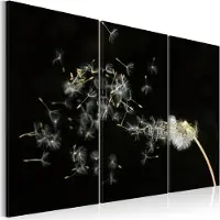 Artgeist Dandelions- The Transience taulusetti