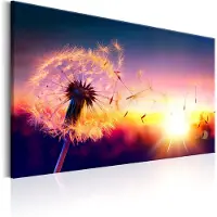 Artgeist Freedom Of Nature taulu