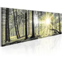 Artgeist Morning Forest taulu