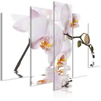 Artgeist Delightful Orchid Wide taulusetti