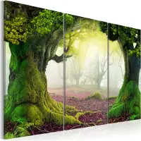 Artgeist Mysterious Forest - Triptych taulusetti