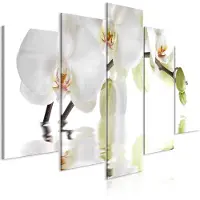 Artgeist Wonderful Orchid Wide taulusetti