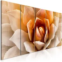 Artgeist Agave Narrow Orange taulusetti