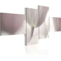 Artgeist Pastel Colored Tulip taulusetti
