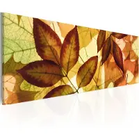 Artgeist Collage - Leaves taulu