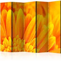 Artgeist Yellow Gerbera Daisies 5-osainen sermi