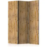 Artgeist Amazonian Wall 3-osainen sermi