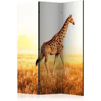 Artgeist Giraffe - Walk 3-osainen sermi