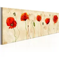 Artgeist Tears Of Poppies taulu