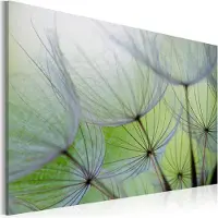 Artgeist Dandelion In The Wind taulu